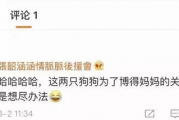 娱乐网吃瓜名单,最新吃瓜名单曝光，明星动态大揭秘！